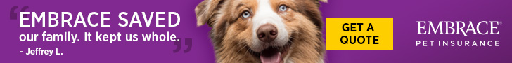 Embraced saved our family - embrace pet insurance quote
