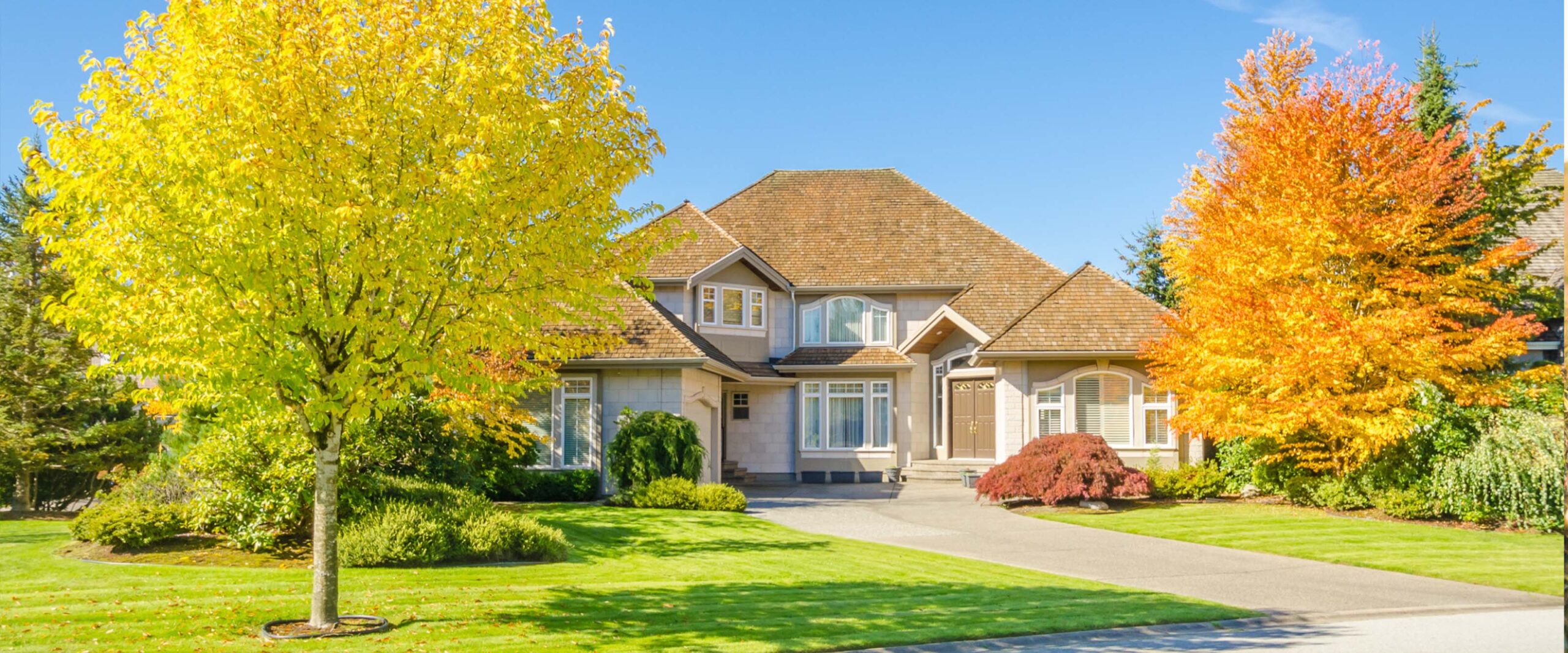 Fall_Slider_home2