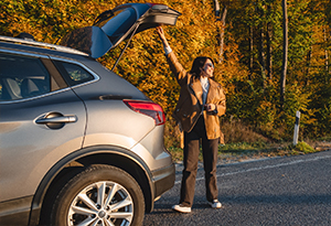 fall_content_auto fall_content_auto