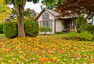 ryan-box-personal-home ryan-box-personal-home