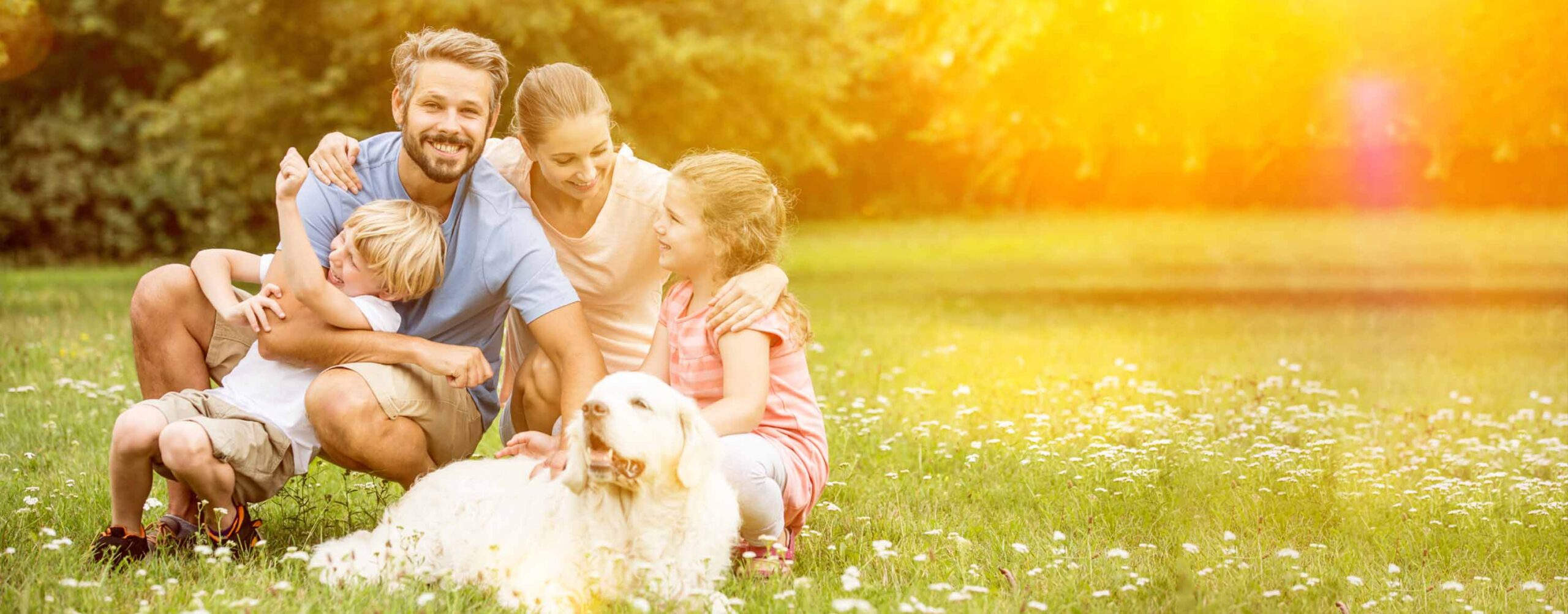 Life Insurance - ryaninsagency.com